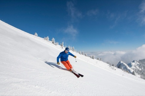 Ski