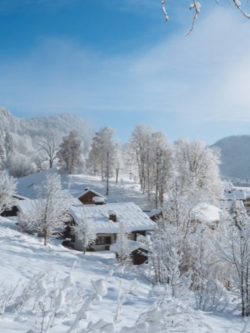 Winter